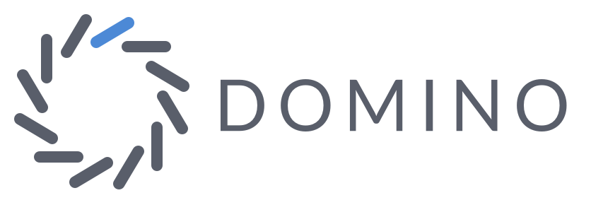 Domino Data Lab